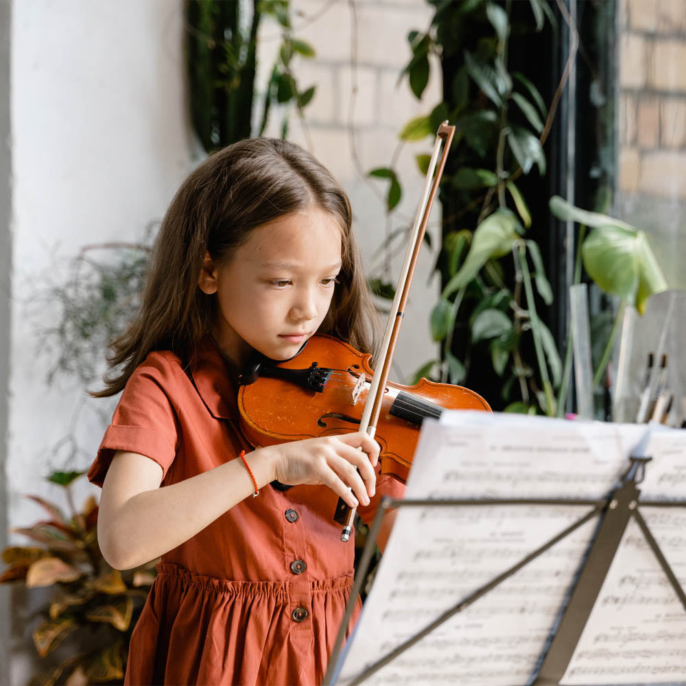 Yescom Full Size Violin Advanced Student Fiddle w/ Bow Case Set A