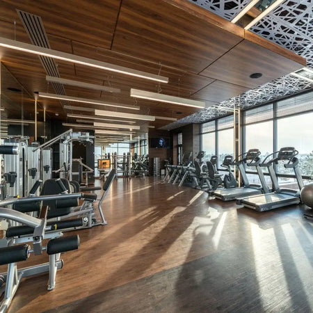 Commercial Gym