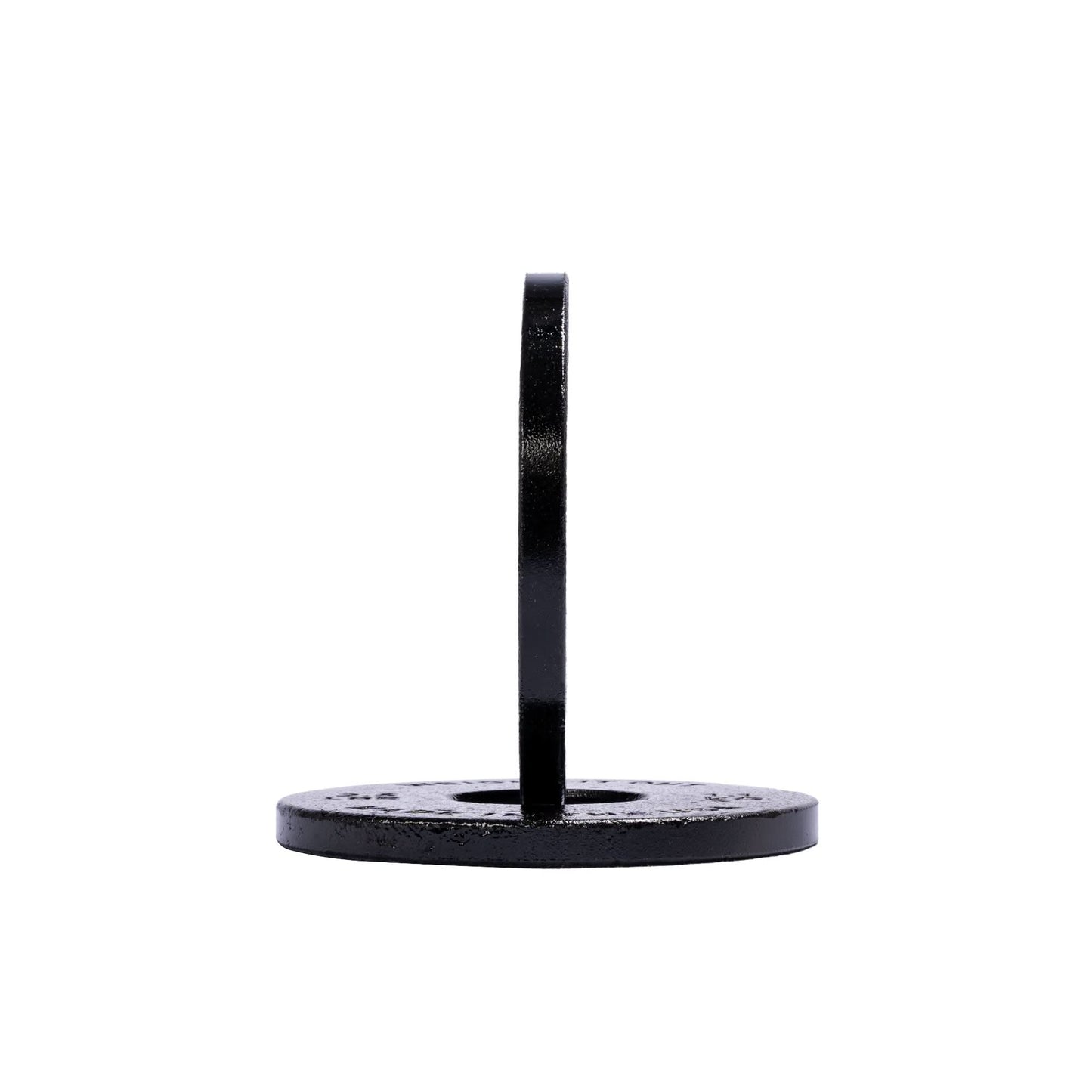 Cast Iron Machined Weight Plate Pairs - side view 10 lbs (black finish)