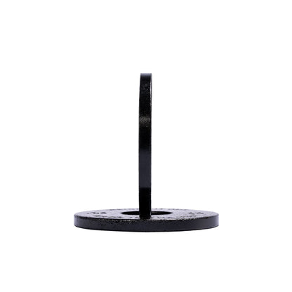 Cast Iron Machined Weight Plate Pairs - side view 10 lbs (black finish)