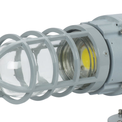 20W Explosion Proof Jelly Jar Light, G Series, 5000K, 2700 Lumens, 100-277 VAC