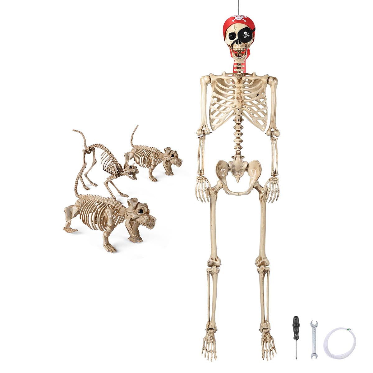 Yescom 5.6Ft Halloween Skeleton Set - Pirate & 3 Animal Skeletons