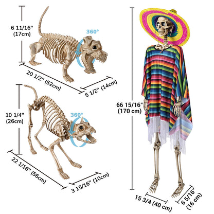 Yescom 5.6Ft Halloween Posable Skeletons & Animal Skeleton Combo
