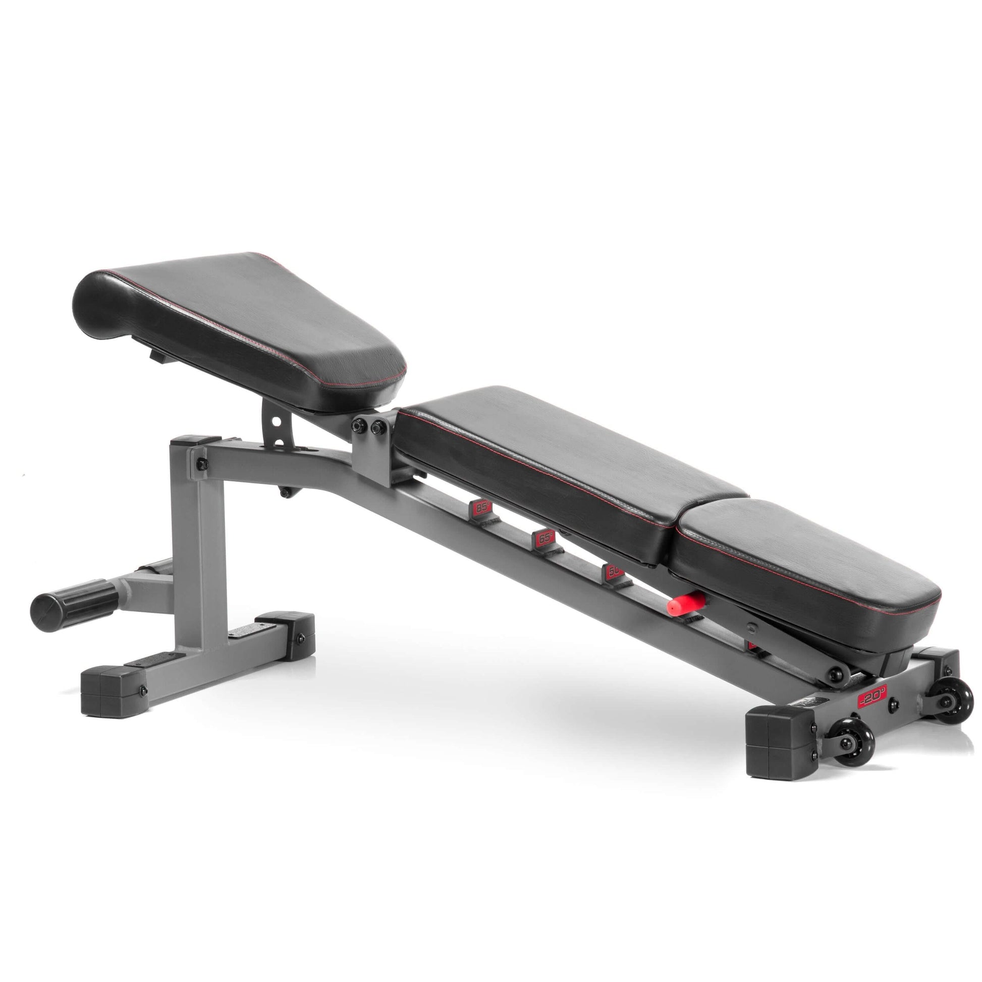 Adjustable dumbbell weight bench with 7 backrest positions, sturdy frame, and high-density padding for comfort.