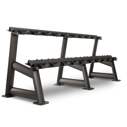 Commercial 2-tier dumbbell rack with rugged steel construction, designed to hold 10 pairs of dumbbells securely and save space.