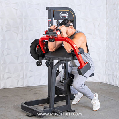 Classic V2 Selectorized Biceps/Triceps Combo – Commercial Gym Machine