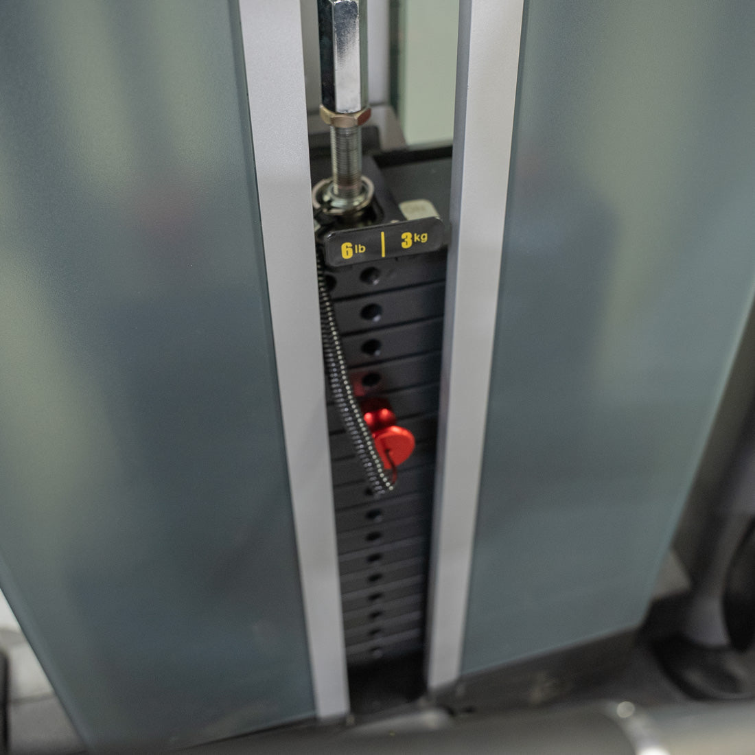 Elite Plus Leg Extension / Seated Leg Curl Combo | Muscle D Fitness