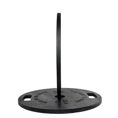 Cast Iron Machined Weight Plate Pairs - side view 45 lbs (black finish)