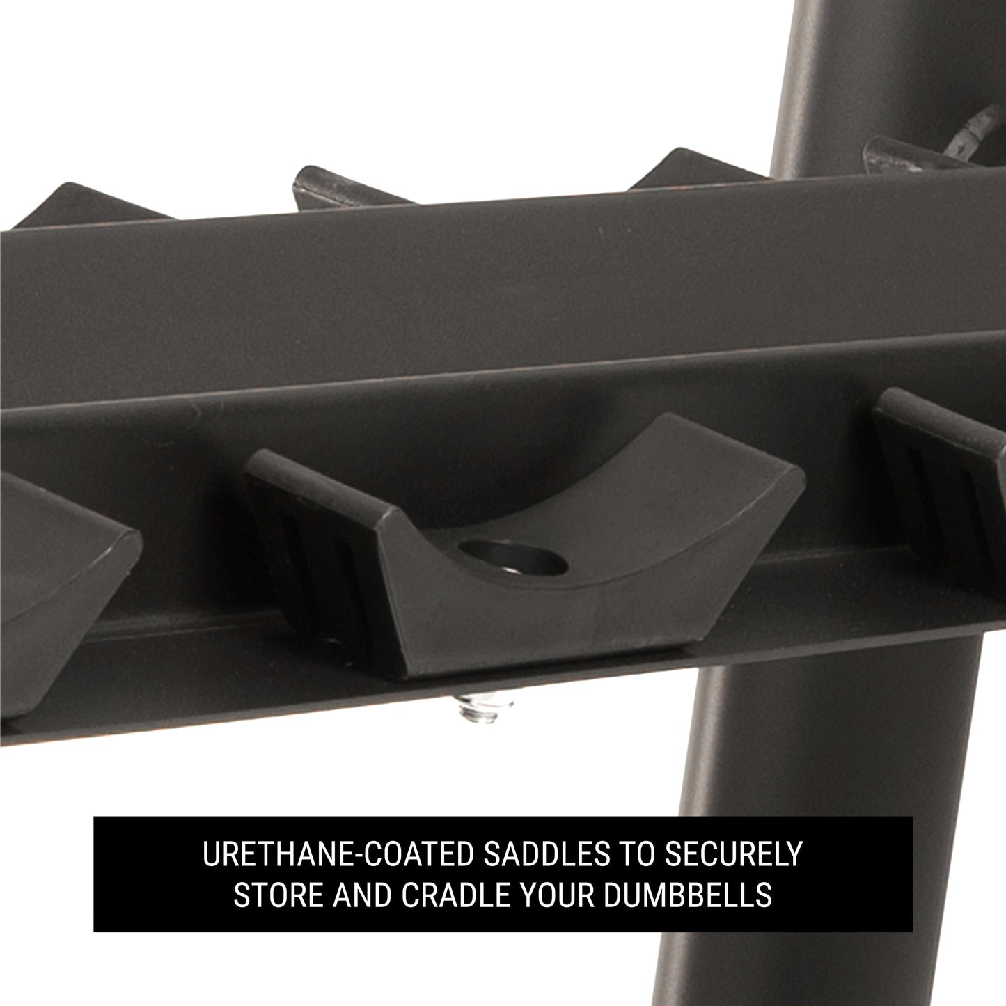 Close-up of urethane-coated saddles on a dumbbell rack, designed to securely cradle and store dumbbells.