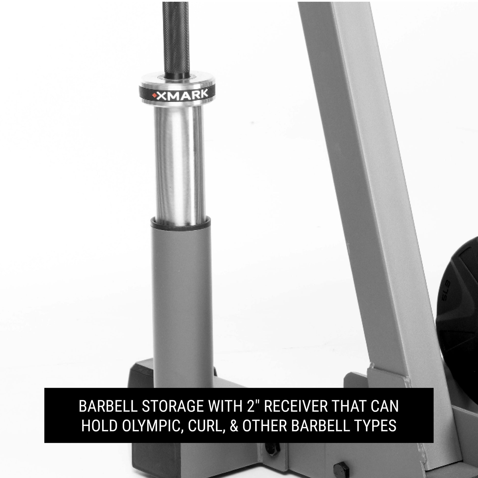 Barbell storage system with a 2-inch receiver for Olympic, curl, and various barbell types.