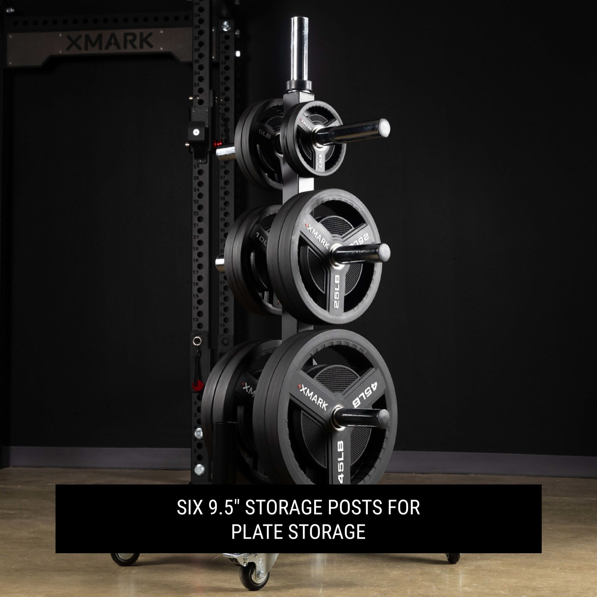 Commercial Olympic weight plate tree with six storage posts for optimal weight plate organization.