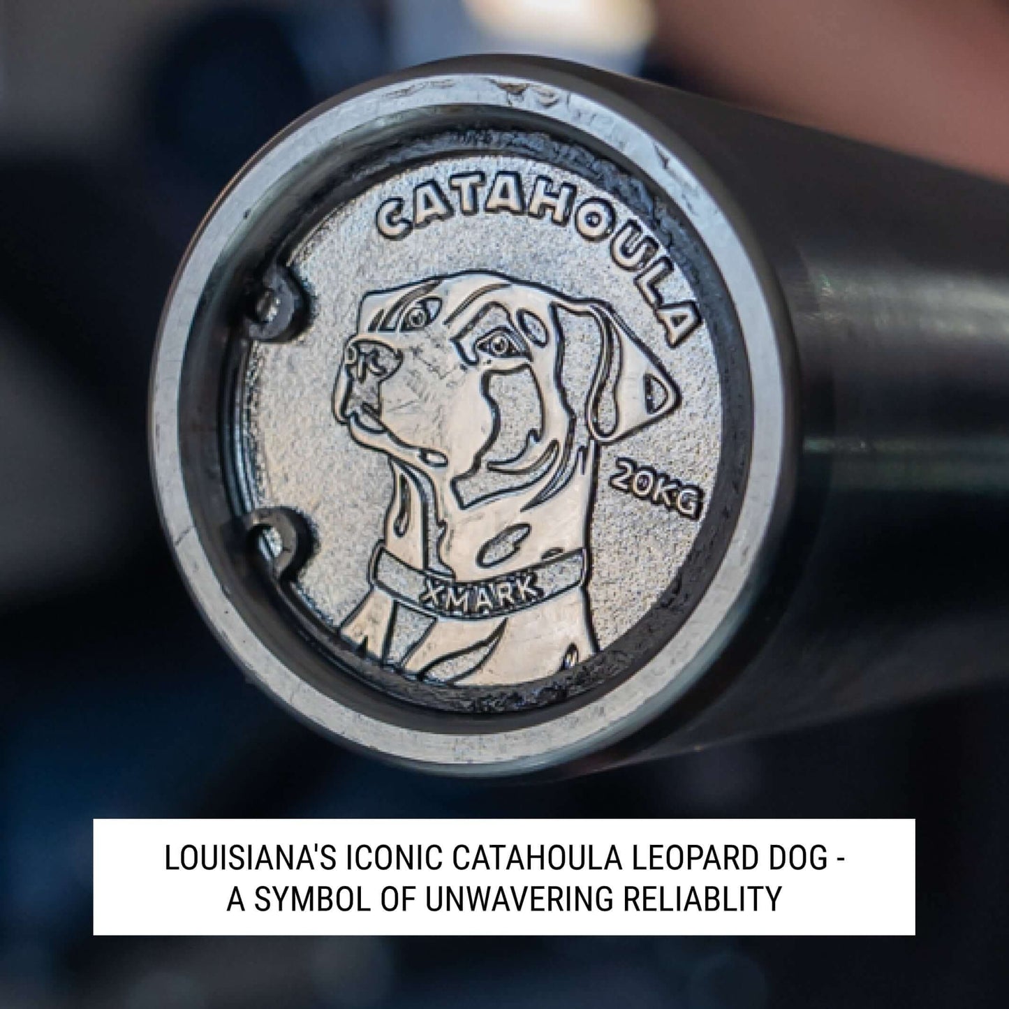 Detail of Catahoula Training Bar showcasing engraved Catahoula leopard dog symbol, representing reliability in strength training.