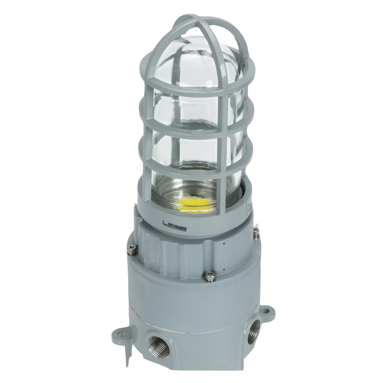 LED Explosion Proof Jelly Jar Light, O Series, 20W, 5000K, 2800 Lumens, 100-277 VAC