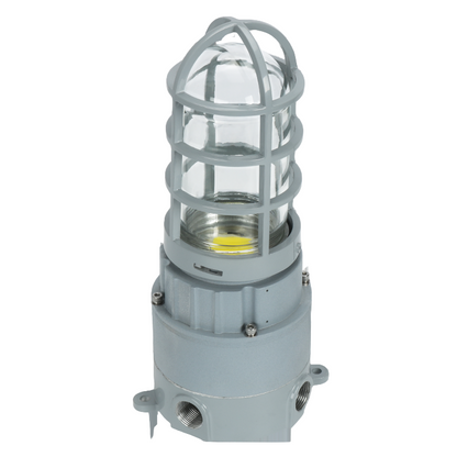 LED Explosion Proof Jelly Jar Light, O Series, 20W, 5000K, 2800 Lumens, 100-277 VAC