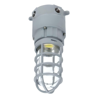 LED Explosion Proof Jelly Jar Light, O Series, 20W, 5000K, 2800 Lumens, 100-277 VAC