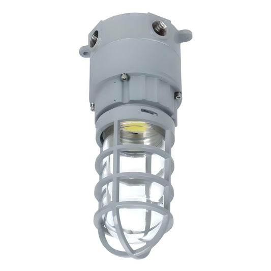 LED Explosion Proof Jelly Jar Light, O Series, 20W, 5000K, 2800 Lumens, 100-277 VAC