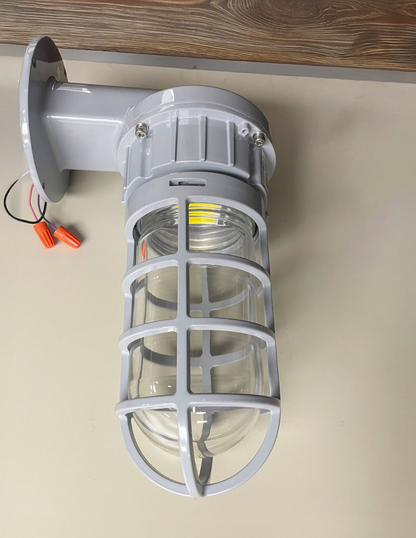 LED Explosion Proof Jelly Jar Light (Wall Mount), O Series, 20W, 5000K, 2800 Lumens, 100-277 VAC