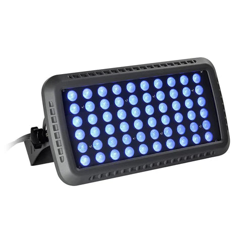 100W Blue LED Flood Light - 30° Beam Angle - 100-277V - Grey Housing - ETL Listed