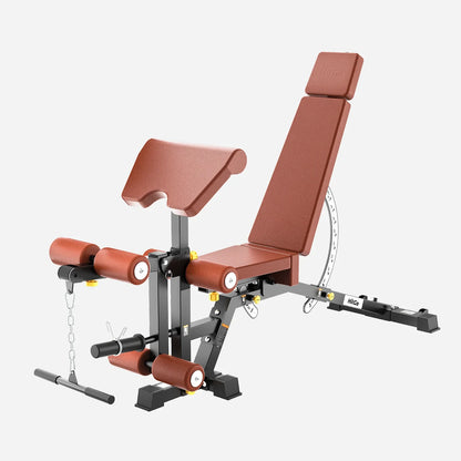 EVO-UB Weight Bench