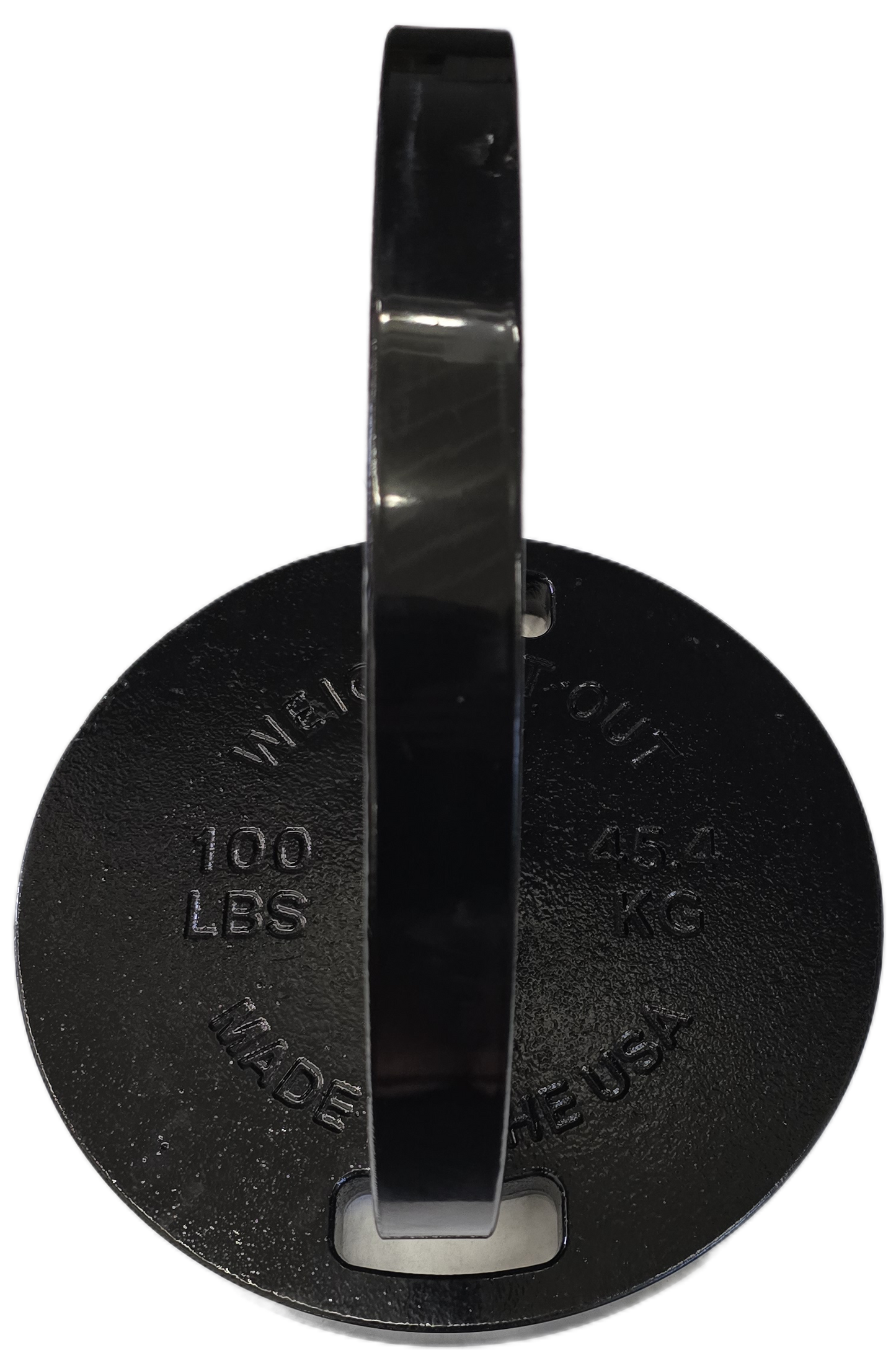 Cast Iron Machined Weight Plate Pairs - side view 100 lbs (black finish)