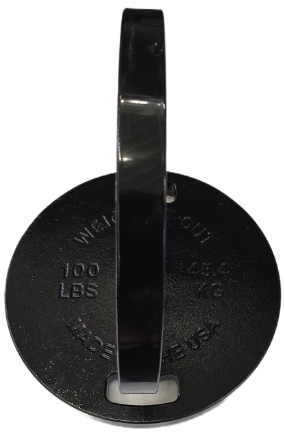 Cast Iron Machined Weight Plate Pairs - side view 100 lbs (black finish)