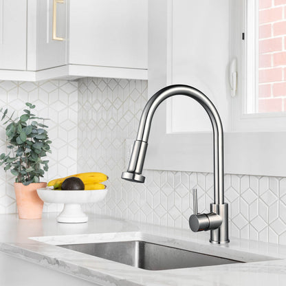 Aquaterior Kitchen Faucet with Pull Out Spray 2.2GPM Brushed Nickel